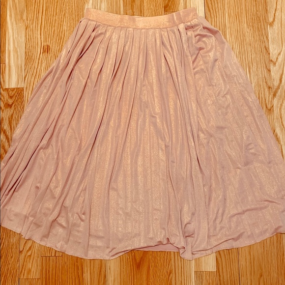 Charlotte Russe Dresses & Skirts - ‼️NEW‼️Charlotte Russe pleated skirt